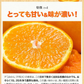 【本場熊本県産】デコみかん 訳あり 1.5kg 送料無料 不知火 みかん ミカン 熊本県産 訳あり デコポン と同品種 くまもと風土 ≪1-5営業日以内に発送予定（土日祝除く）≫