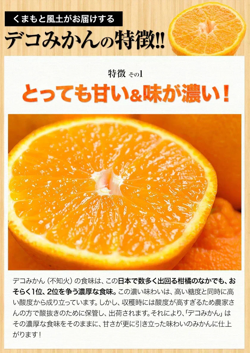 【本場熊本県産】デコみかん 訳あり 1.5kg 送料無料 不知火 みかん ミカン 熊本県産 訳あり デコポン と同品種 くまもと風土 ≪1-5営業日以内に発送予定（土日祝除く）≫