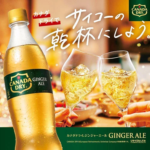 【1ケース】コカ・コーラ  ジンジャーエール カナダドライ ジンジャエール 500ml PET 24本 ジンジャー ケース 500 ペットボトル pet まとめ買い 炭酸飲料 コカコーラ 炭酸ジュース