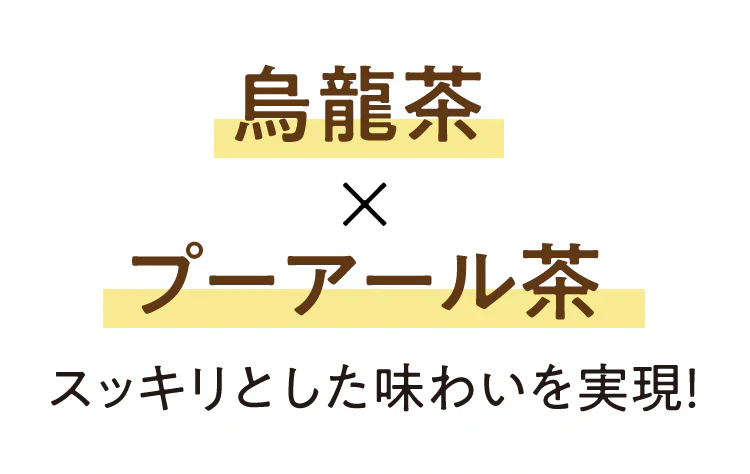 爽味黒烏龍茶 ポット用30個入（ティーバッグ 健康茶 健康飲料 プーアール茶 ウーロン茶 お茶）【プチプラ特集】
