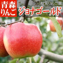 ジョナゴールド 家庭用 3C箱(3kg箱:約9～15個入)