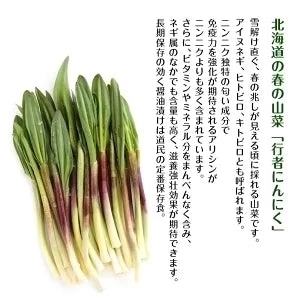 【北海道限定】行者にんにく【みそ120g】【割干漬220g】×各1個【合計2個】日本酒 ビール ごはんのおとも 新千歳空港 お土産