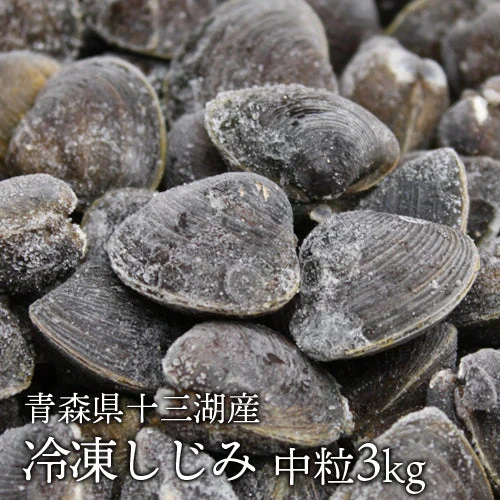 青森県十三湖 冷凍しじみ中粒  3kg （ヤマトシジミ） 砂抜き不要