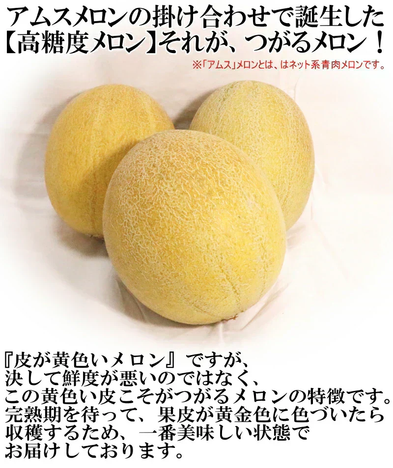 【冷蔵便】青森県産 つがるメロン 2玉(優～秀品 1玉約1.0kg～1.2kg×2玉入り)