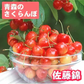 【予約販売:7月上旬頃から発送】さくらんぼ佐藤錦1kg　Lサイズ(バラ詰め)