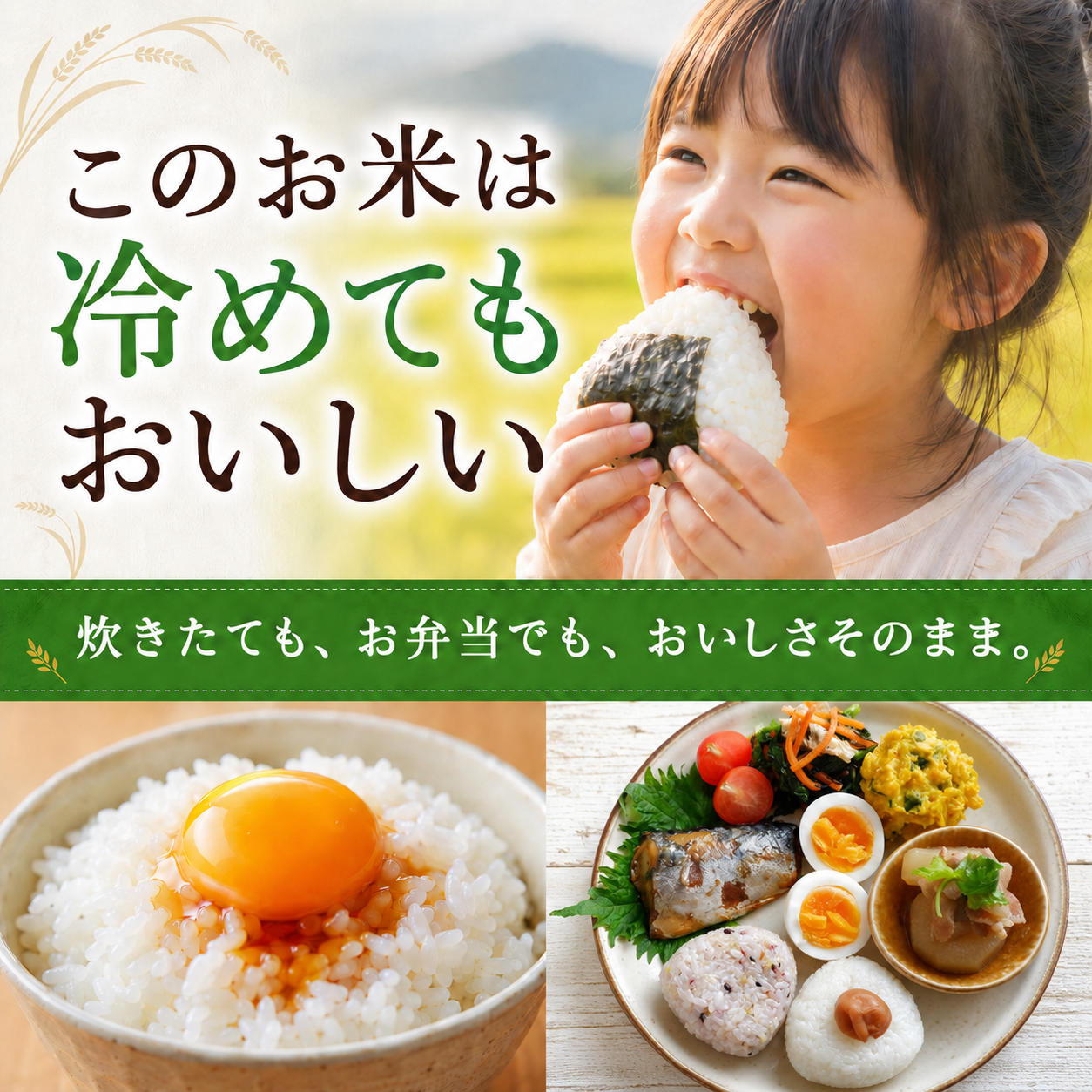 【お届けまで約3週間】「新潟こしひかりブレンド」800g【カウシェファーム収穫対象商品】