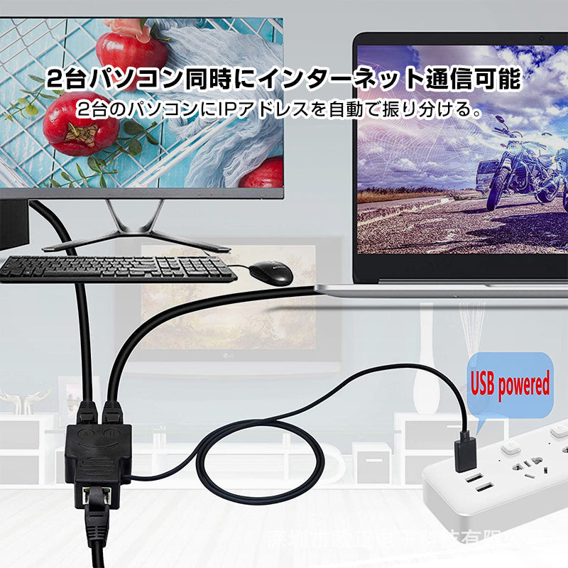 LAN分岐 100Mbps LANポート増設 拡張 アダプター RJ45  ラン中継コネクタ lanハブ2ポート ルーター ネットワークスプリッタアダプタ カテゴリー CAT5 CAT6 CAT7