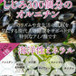 ❤️たっぷりわかめ3倍ダイエットスープ　30包　女王様のすごいわかめスープ　わかめたっぷり3倍です。ぷるるん姫