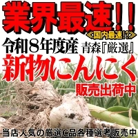【新物】令和8年産 青森県産にんにく 1㎏ 訳あり C品 Mサイズ以上大玉混合 福地ホワイト六片種