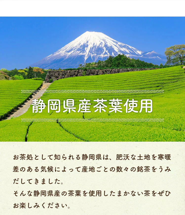【最短当日出荷】静岡県産緑茶 ティーライフのまかない茶 100個入