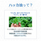 ハッカ油 20mL 武内製薬 アロマオイル 水を混ぜて ハッカ液 ハッカ油スプレー にも 冷感 マスク 天然 スプレー お風呂 網戸 アロマ 冷却