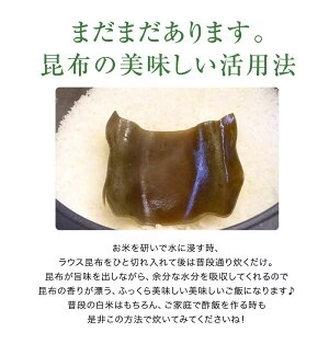 [大袋] 羅臼産 切り出し昆布 310g 徳用サイズ