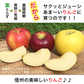 【2023年産予約開始！数量限定！】シナノゴールド 加工用 約2.5kg(7-16玉) パリっと歯ごたえジューシー 10月下旬頃発送開始予定 #YAG0K025