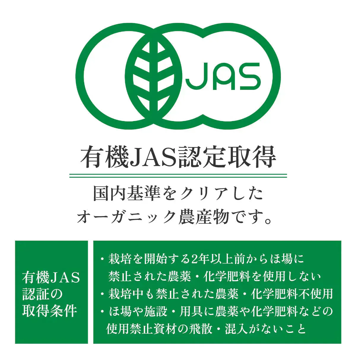 シナモンスティック オーガニック セイロンシナモン 80g 有機JAS シナモン スパイス スリランカ産 クラフトコーラ スティック 冷え対策 温活 桂皮 肉桂 チャイ コーヒー 紅茶 直輸入 香辛料