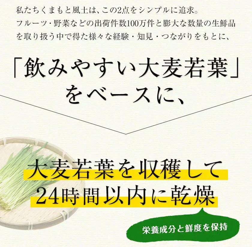 朝摘み もぎたて 青汁 大麦若葉 90g(3g×30包) 送料無料 美味しい 飲みやすい 青汁 乳酸菌 プラセンタ 食物繊維 ダイエット 甘い青汁《3-7営業日以内発送(土日祝除く)》