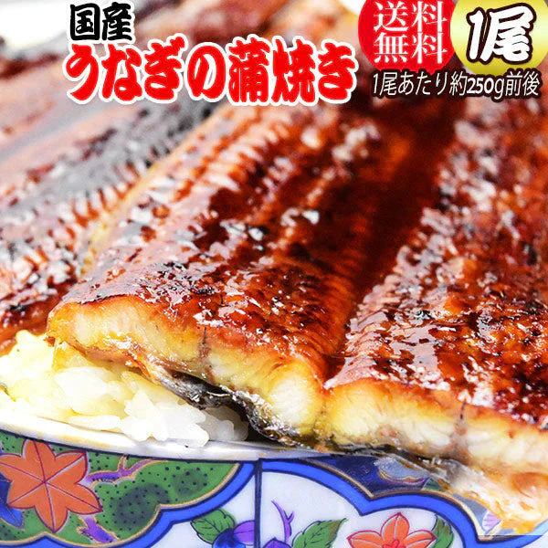 うなぎ 蒲焼き【国産 国内産】炭火焼うなぎ蒲焼1尾 特大(1尾：250g前後) 土用の丑の日 宮崎県産・鹿児島県産 ※蒲焼のタレ付