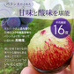 【9月上旬順次発送】送料無料 岡山産 ピオーネ 0.8-1キロ 2房入