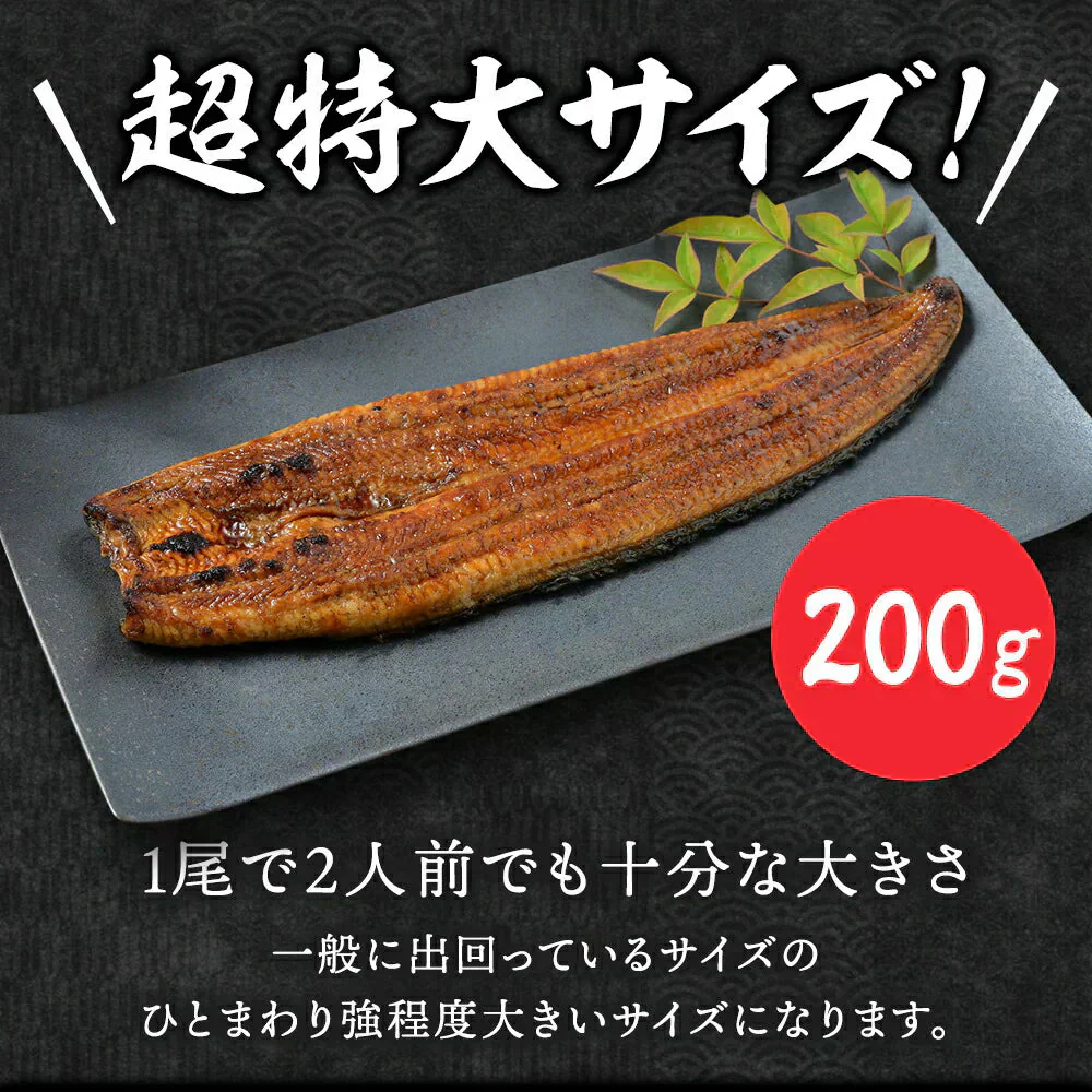 【国産】特大うなぎの蒲焼き 200g×1尾　うなぎ 鰻 丑の日