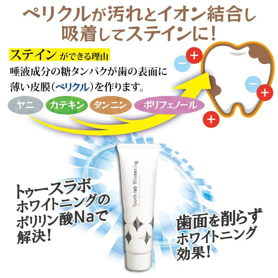 歯みがき粉 ホワイトニング Tooth lab Whiteningトゥースラボホワイトニング- 2本セット(100g/1本)【メール便送料無料】