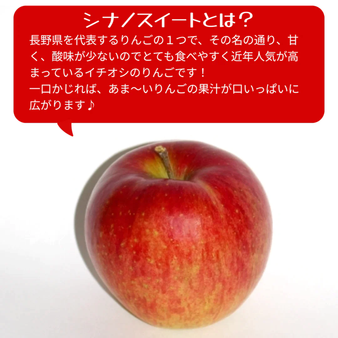 【2023年産予約開始！数量限定！】シナノスイート 訳あり 約2.5kg(6-14玉) やさしい甘さでジューシー！10月中旬頃発送開始予定 #YAS0B025