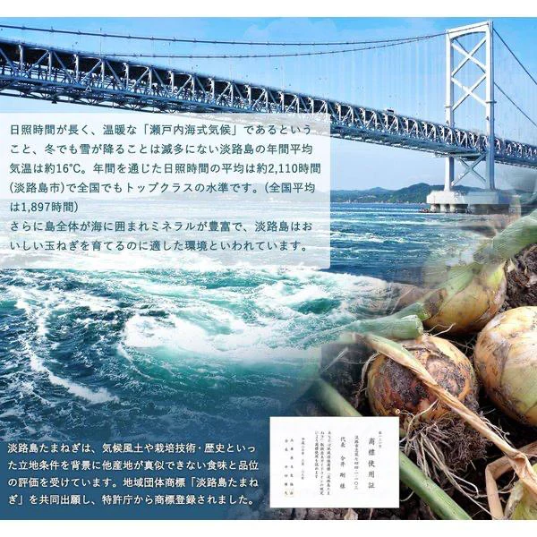 淡路島 たまねぎスープ 30包 食品 お試し オニオン 玉ねぎ タマネギ スープ 調味料 送料無料