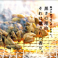 鶏の炭火焼き(炭火焼/鶏の炭火焼き/焼鳥/炭火焼き鳥)90g×3 ゆず胡椒味