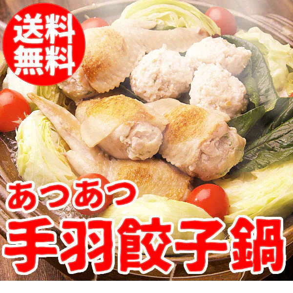 1日1500セットが完売！大人気！手羽先餃子鍋セット