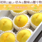 黄桃 約3kg 8-12玉入り 化粧箱 もも 桃 モモ ギフト お中元 黄色い桃 山形産 産地直送