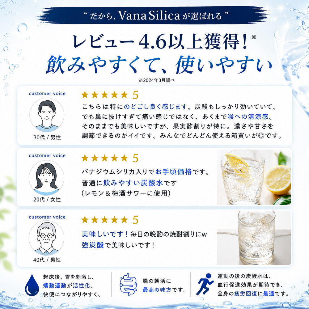 【 1ケース 】 富士山のバナジウム＆シリカ 強炭酸水 VanaSilica（バナシリカ） 500ml 24本 プレーン
