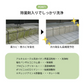 【プロ用だから効果抜群】カビ防止 カビ取り プロ用玄関洗浄剤 大容量 1000ml 玄関掃除 清掃用具 汚れ除去 カビ除去 防カビ 洗剤 玄関 墓石 タイル 大掃除