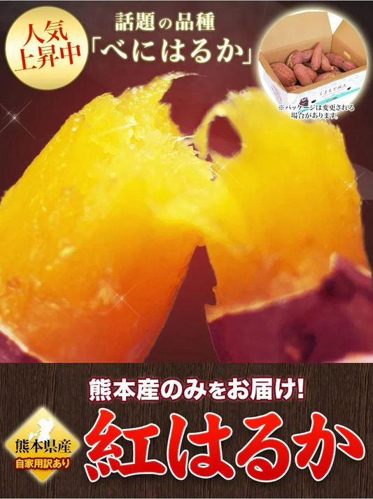 さつまいも 熊本県産 訳あり 紅はるか べにはるか 1kg 送料無料 ※大中小サイズ混合(不選別 ) 焼き芋 さつま芋 薩摩芋《3-7営業日以内に出荷予定(土日祝除く)》