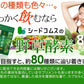 野草酵素《約1ヶ月分》酵素サプリ/サプリ/酵素ダイエット/サプリ/酵素サプリメント/ダイエット サプリ/ダイエット 酵素/【カウシェファーム収穫対象商品】