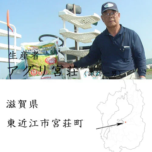 アグリ宮荘 キラリモチ もち麦 お試し 400g×2袋