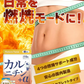 【訳あり 使用期限2025年9月】薬剤師監修 カルニチン＋α 60日分 1袋 L-カルニチン45,000mg配合 ブラックジンジャー カプサイシン ビタミンB1 ネイチャーフォース Nature Force