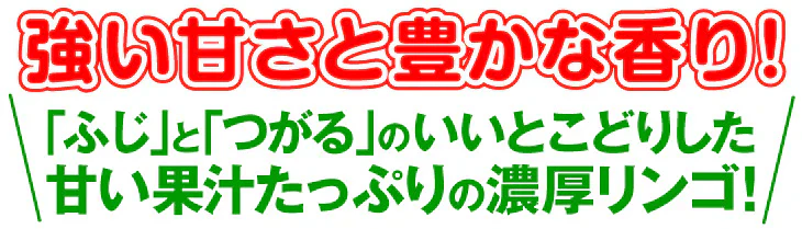 りんご 5kg シナノスイート 青森産 （発送予定：12月上旬より）