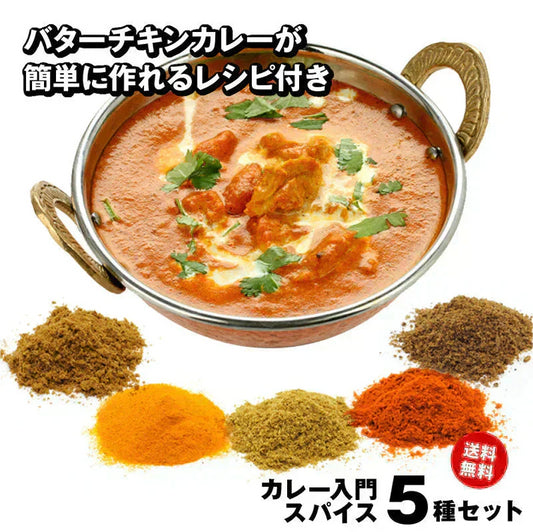 【送料無料 レシピ付】カレー 初級 スパイス 5種 セット 100g  大容量 チャック袋入 スパイス スパイスカレー おうちカレー 手作りカレー 送料込み お得 人気 お試し お試しセット