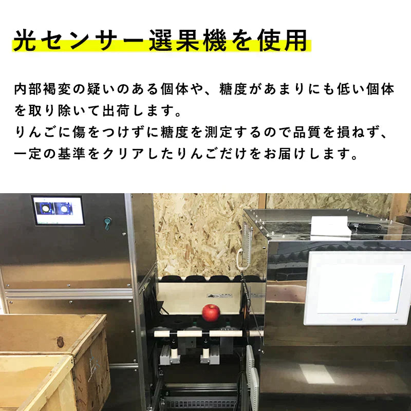 【予約受付中！】 青森県産 訳あり サンふじ 5kg 数量限定! 家庭用 青森  りんご 林檎 ふじ 果物 フルーツ 送料無料 ks