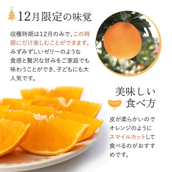【12月10日前後から順次発送】あいか 2.5kg 訳あり サイズおまかせ(7-14玉入り)