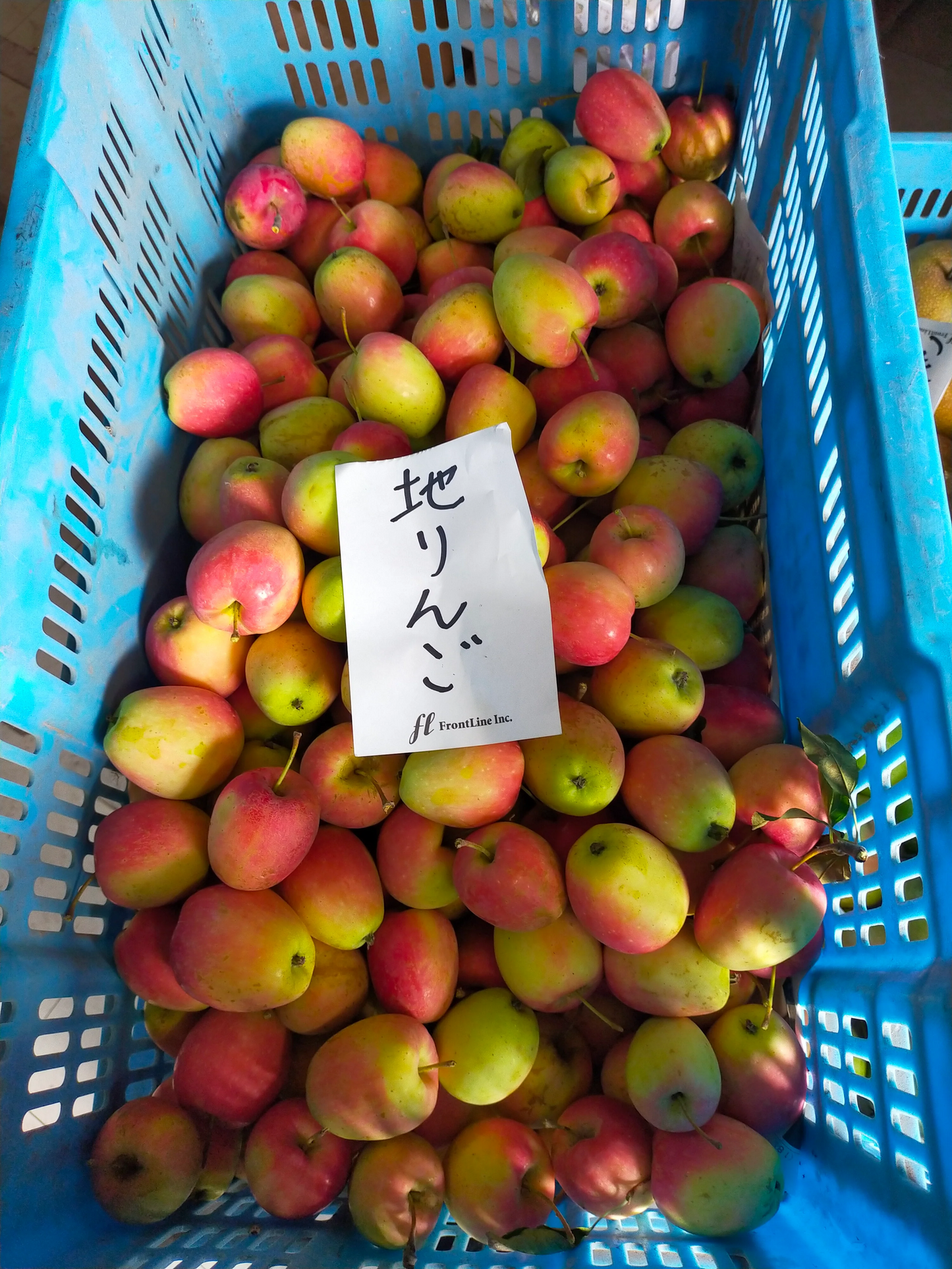 【送料無料】青森りんご 地りんご クラブりんご 訳あり ２㎏（約40個～個体差により変動あり）佐川急便冷蔵にて発送【6136】