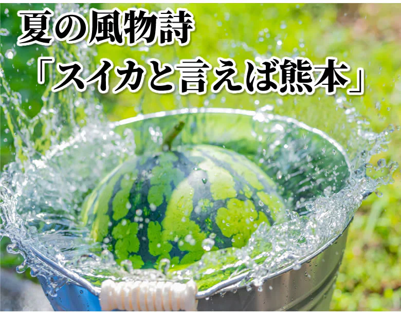 すいか 訳あり 大玉すいか 送料無料 6kg以上(6～10kg) 1玉 L〜3L 熊本すいか お取り寄せ スイカ 熊本県産 すいか 西瓜 フルーツ