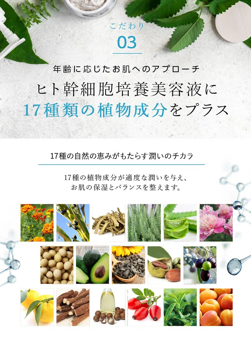 ヒト幹細胞 オールインワン ゲル 美容液 ヒト幹細胞培養液 ヒトカン 化粧水 乳液 クリーム パック【HITO-KAN Premium All in One Gel270g】