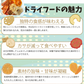 ドライフードメーカー 1個 【発送予定は商品詳細説明参照】 食品乾燥機 野菜乾燥機 ドライフルーツ ドライ野菜