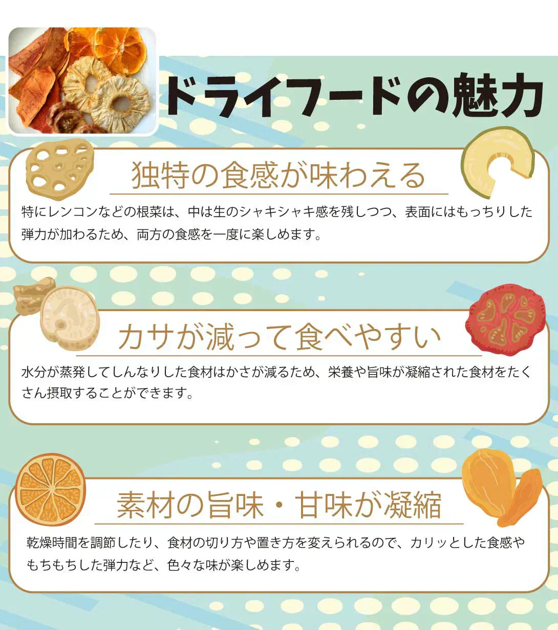 ドライフードメーカー 1個 【発送予定は商品詳細説明参照】 食品乾燥機 野菜乾燥機 ドライフルーツ ドライ野菜
