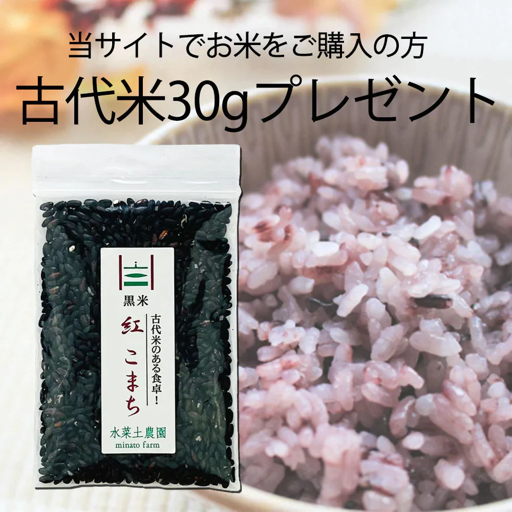 秋田県産 サキホコレ 玄米5kg 令和5年産 【古代米プレゼント付き】
