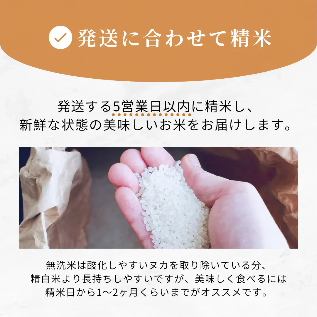 特別栽培米 無洗米 福岡県産 夢つくし 300g 令和5年度産