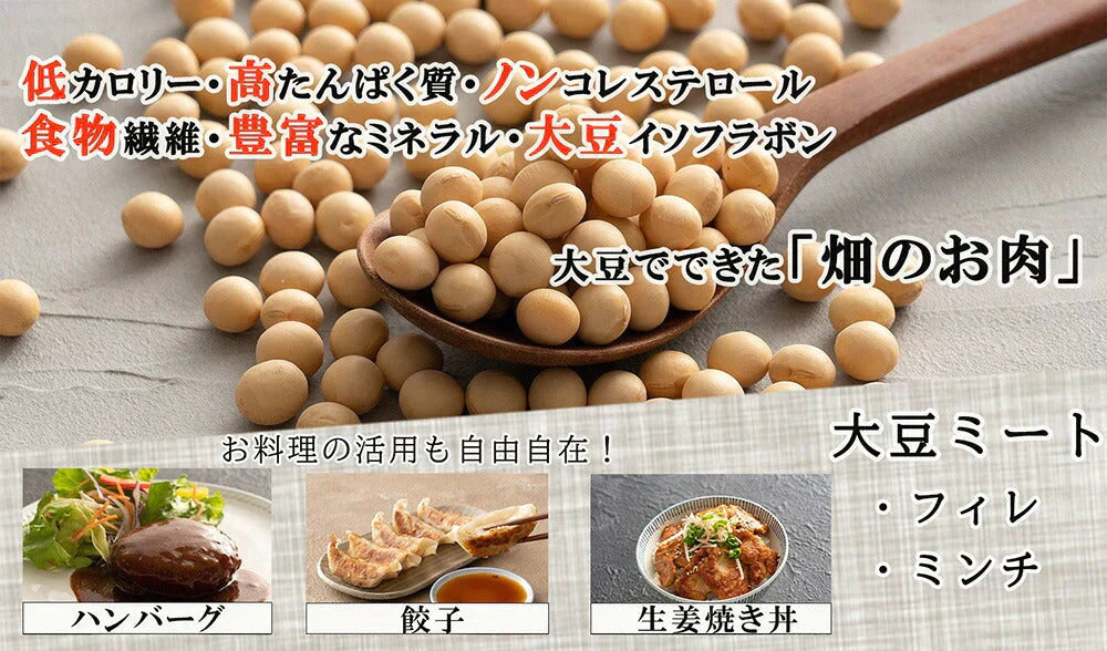 雑穀 雑穀米 国産 大豆ミート(フィレ) 2kg(250g×8袋) 送料無料