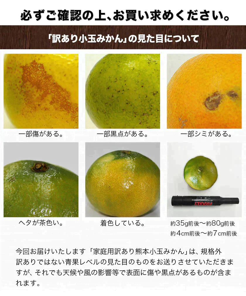 小玉 みかん 訳あり 送料無料 1.5kg 小粒 ミカン 柑橘 熊本 極早生 3s-sサイズ 家庭用 7-14営業日以内に出荷予定(土日祝除く)【ご新規さん限定商品】