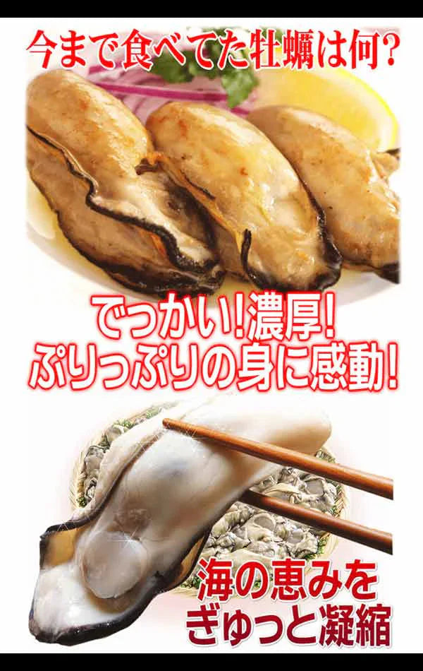 カキ かき 牡蠣 広島 1kg 冷凍 牡蠣(かき)特大 1kg (正味量約850g)×1袋 広島産/広島県産  送料無料 カキフライ バーベキュー 材料 BBQ 鍋 鍋セット ヘルシー  日時指定不可
