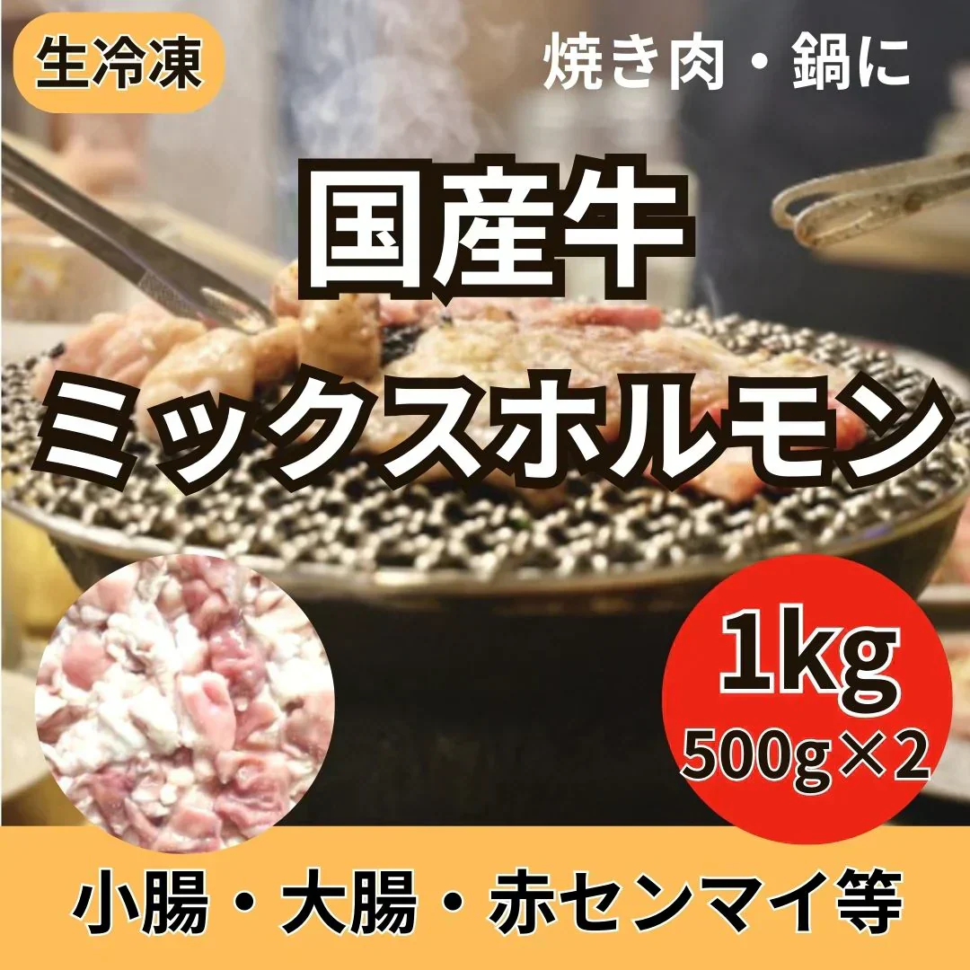 【国産牛】ミックスホルモン 1kg / 500g×2パック（シマチョウ・マルチョウ・ギアラ等）