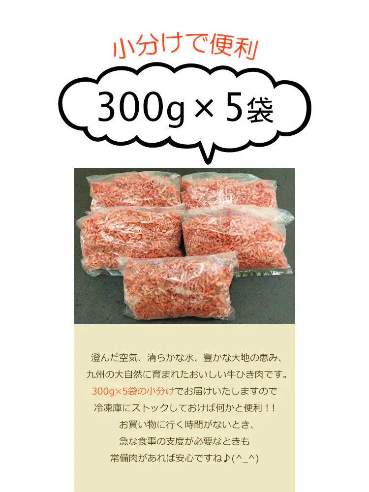 九州産 牛ひき肉 メガ盛り 1.5kg■300g×5袋の小分け